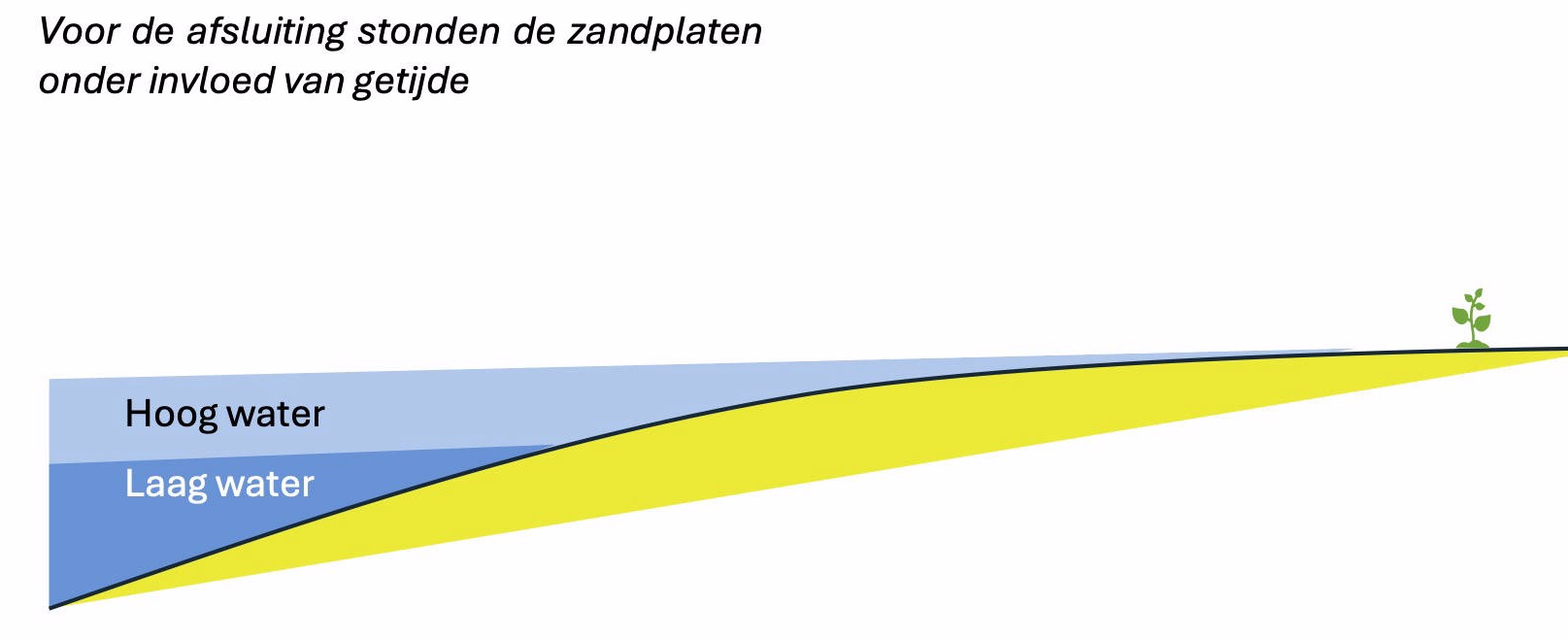 Ontstaan van microreliëf