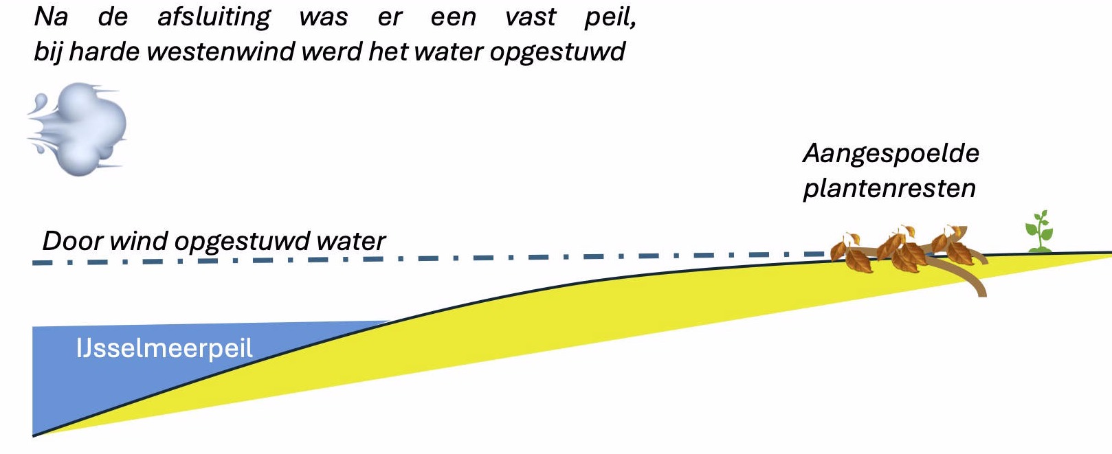 Ontstaan van microreliëf