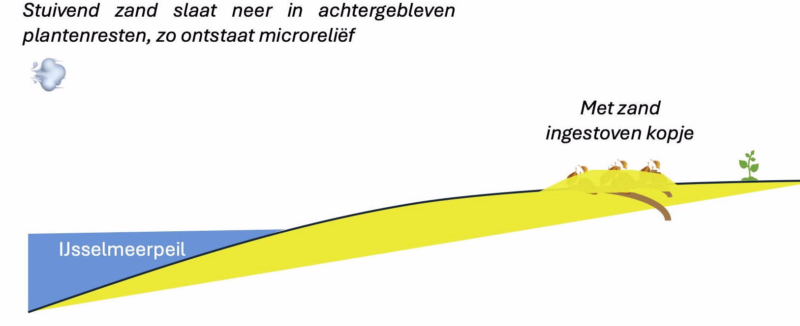 Ontstaan van microreliëf